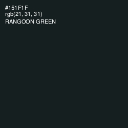 #151F1F - Rangoon Green Color Image